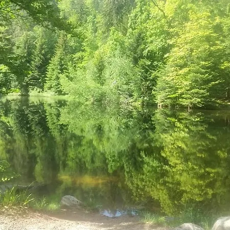 Rev2 Montagne * La Bresse