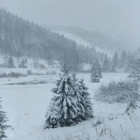 Rev2 Montagne Lägenhet La Bresse