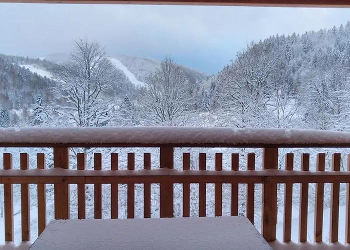 Rev2 Montagne * La Bresse