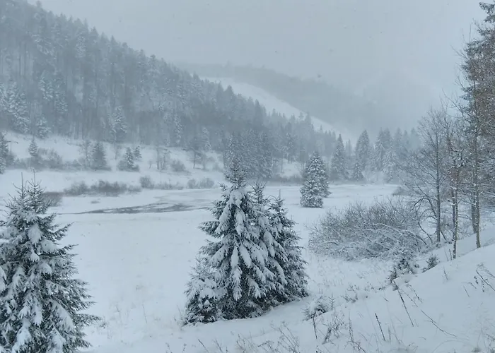 Rev2 Montagne Apartmán La Bresse