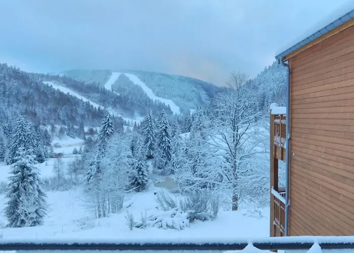 Apartmán Rev2 Montagne *